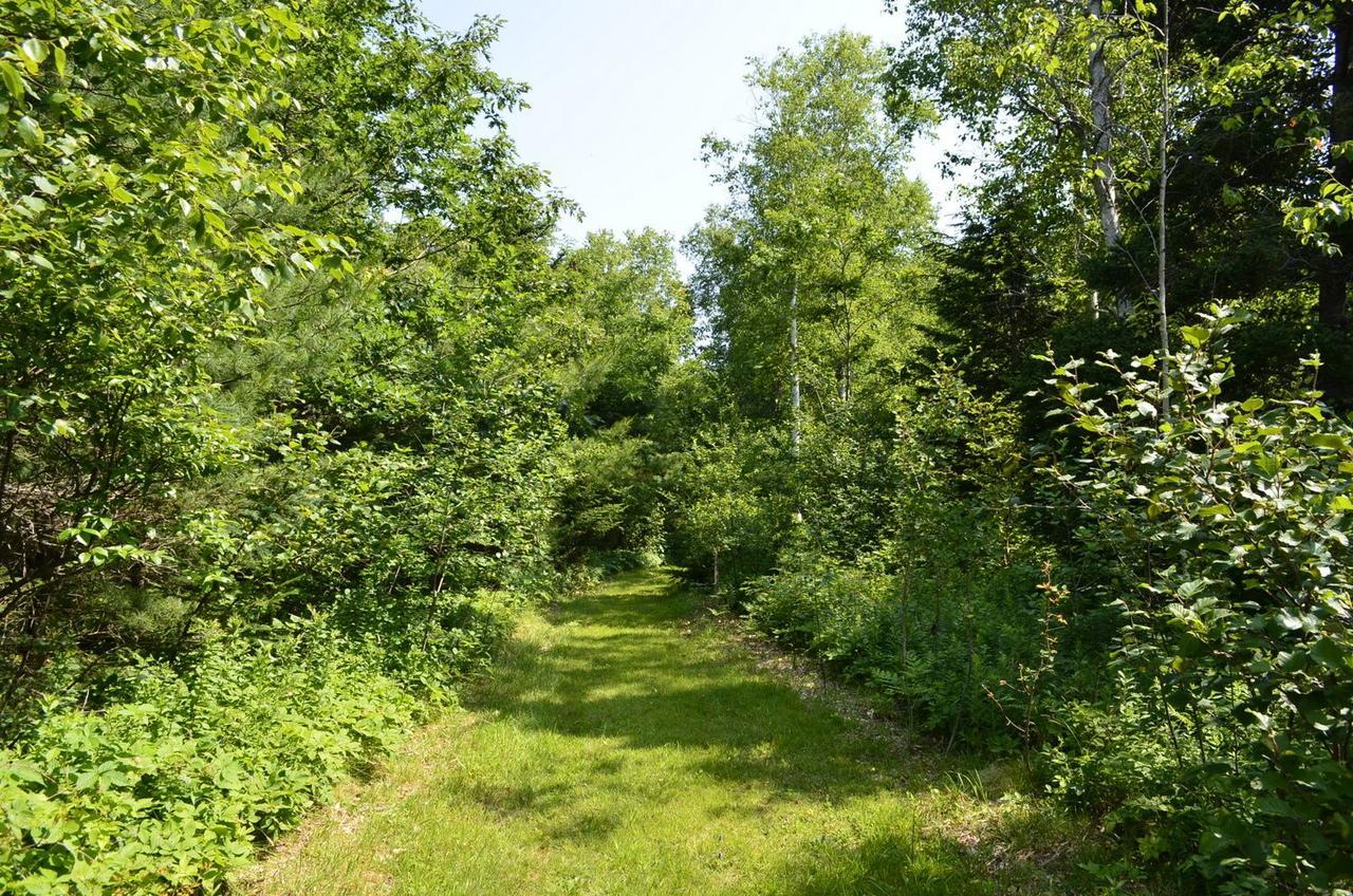 Still Point Lodge Deep Brook Bagian luar foto