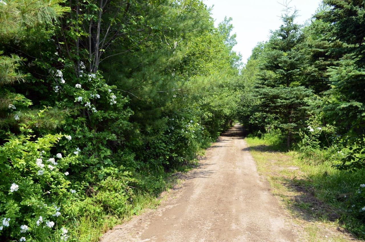 Still Point Lodge Deep Brook Bagian luar foto